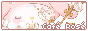 cafe rose button